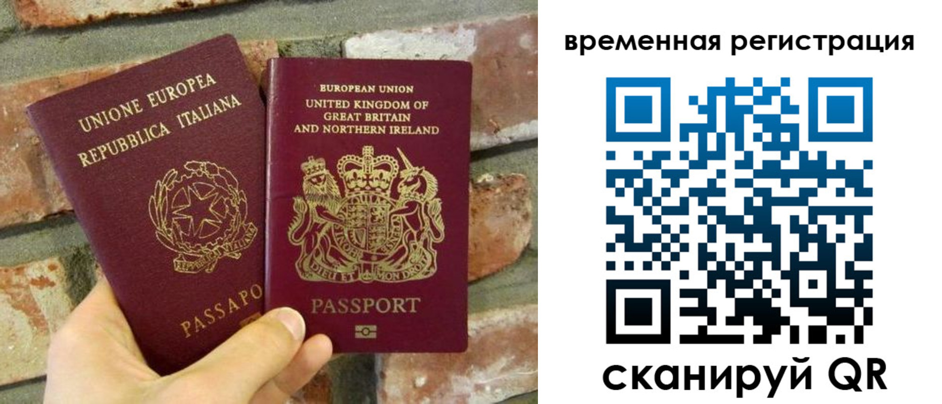 прописка для школы в Волгоградской области